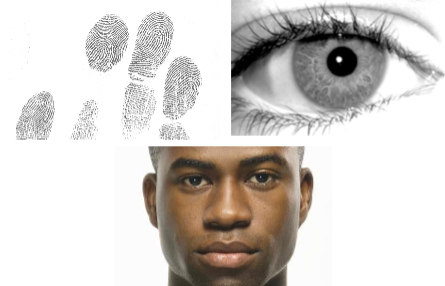 BIOMETRIYA BMB One multi-biometric sample